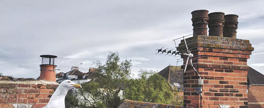 Chimney Cleaning And Restoration in Huntington, Indiana
