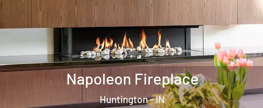  Napoleon Fireplace Huntington - IN